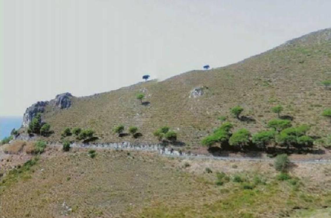 Polemiche sulla nomina del direttore del Parco degli Aurunci, critiche di Legambiente