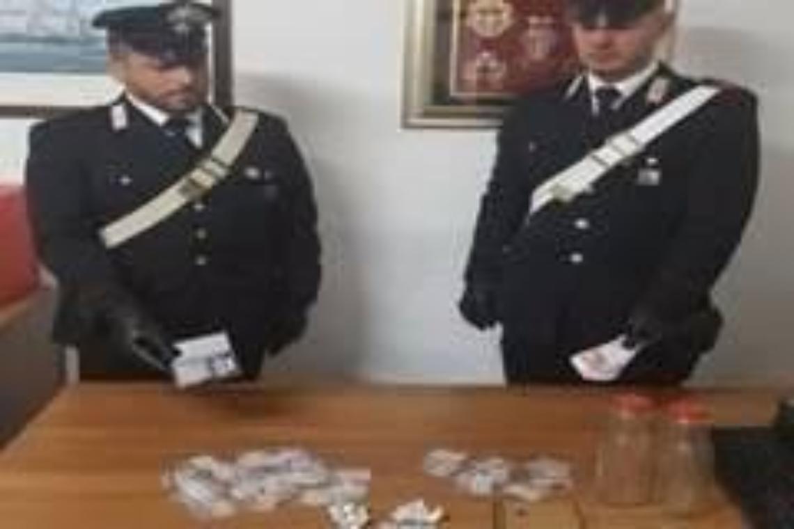 Arrestato dai carabinieri con l'accusa di spaccio di droga un giovane allevatore di lumache