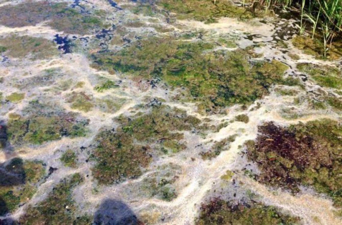Inquinamento nel canale romano e nel lago di Paola, il caso di nuovo in Parlamento