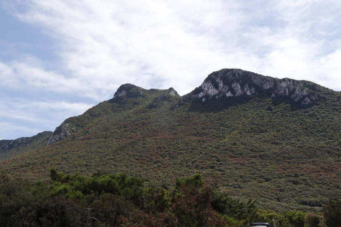 Caos tra i sentieri sul promontorio del Circeo, il Parco mette ordine ai percorsi