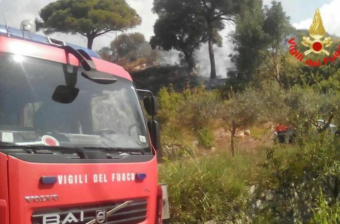 Vasto incendio nella zona di Ventosa, il fuoco divora molti ettari di vegetazione