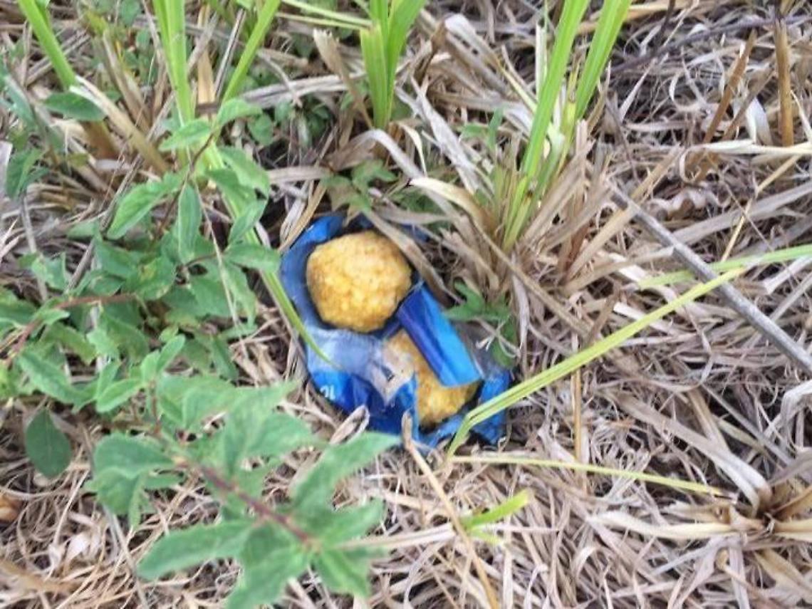 Polpette avvelenate lungo la strada del cimitero, segnalazione alla Asl veterinaria