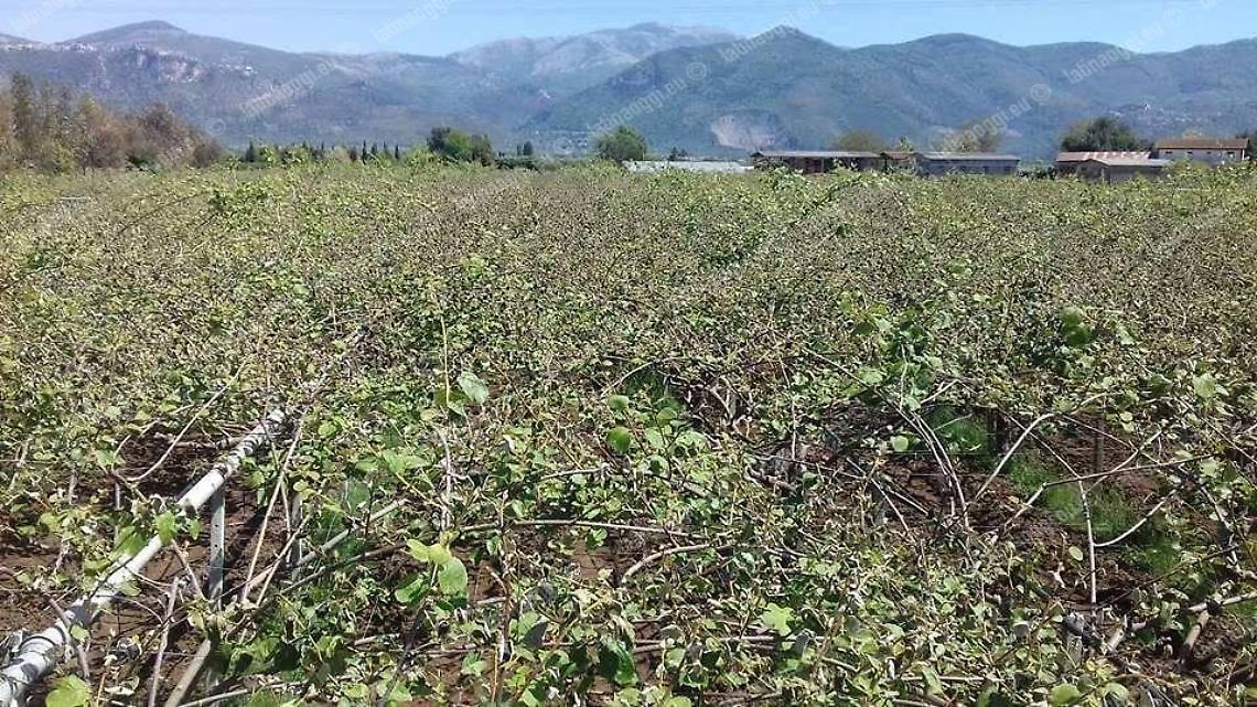 Crisi idrica: il presidente della Regione ha firmato il decreto di Stato di Calamit&agrave; Naturale