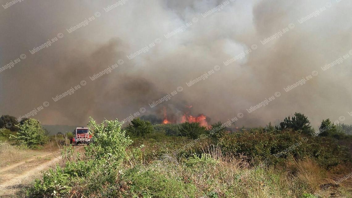 Torna l'incubo degli incendi estivi:  Vigili del Fuoco impegnati in oltre 25 interventi al giorno