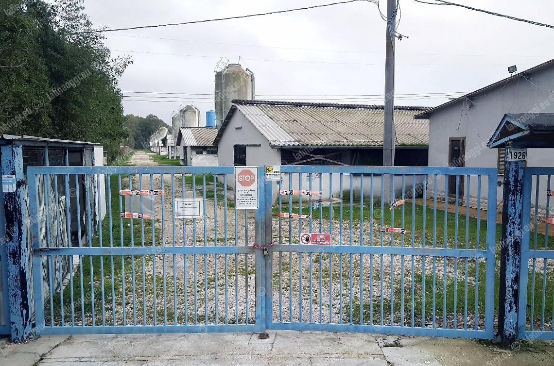 Restano i sigilli al pollificio alla porte di Borgo Bainsizza, bocciato il dissequestro