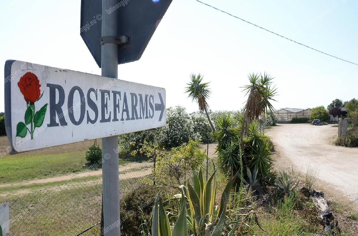 Caporalato, altri due arresti. Padre e figlia in manette per sfruttamento dei braccianti