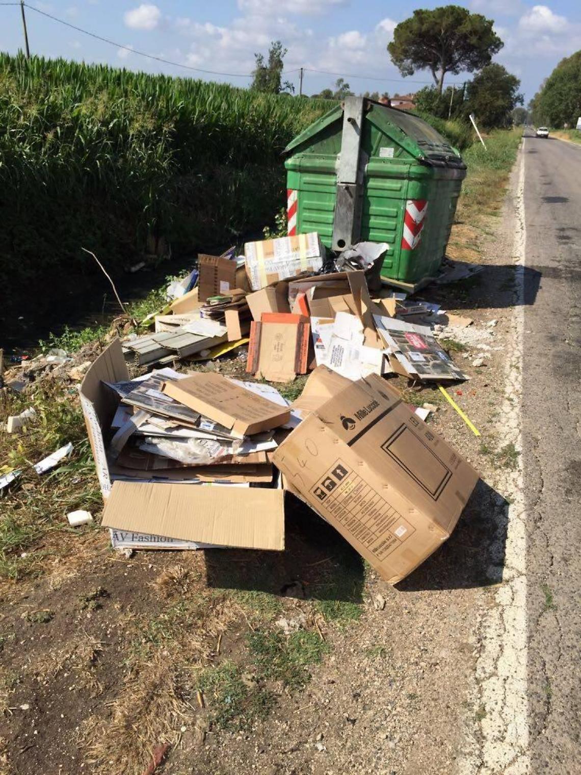 La lotta al degrado passa attraverso una App, arriva anche a Sabaudia "Decoro Urbano"