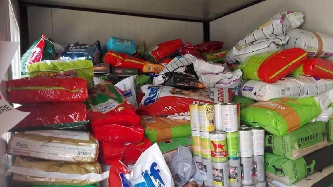 La solidarietà dopo l'incendio, il canile "invaso" dagli aiuti per i migliori amici dell'uomo