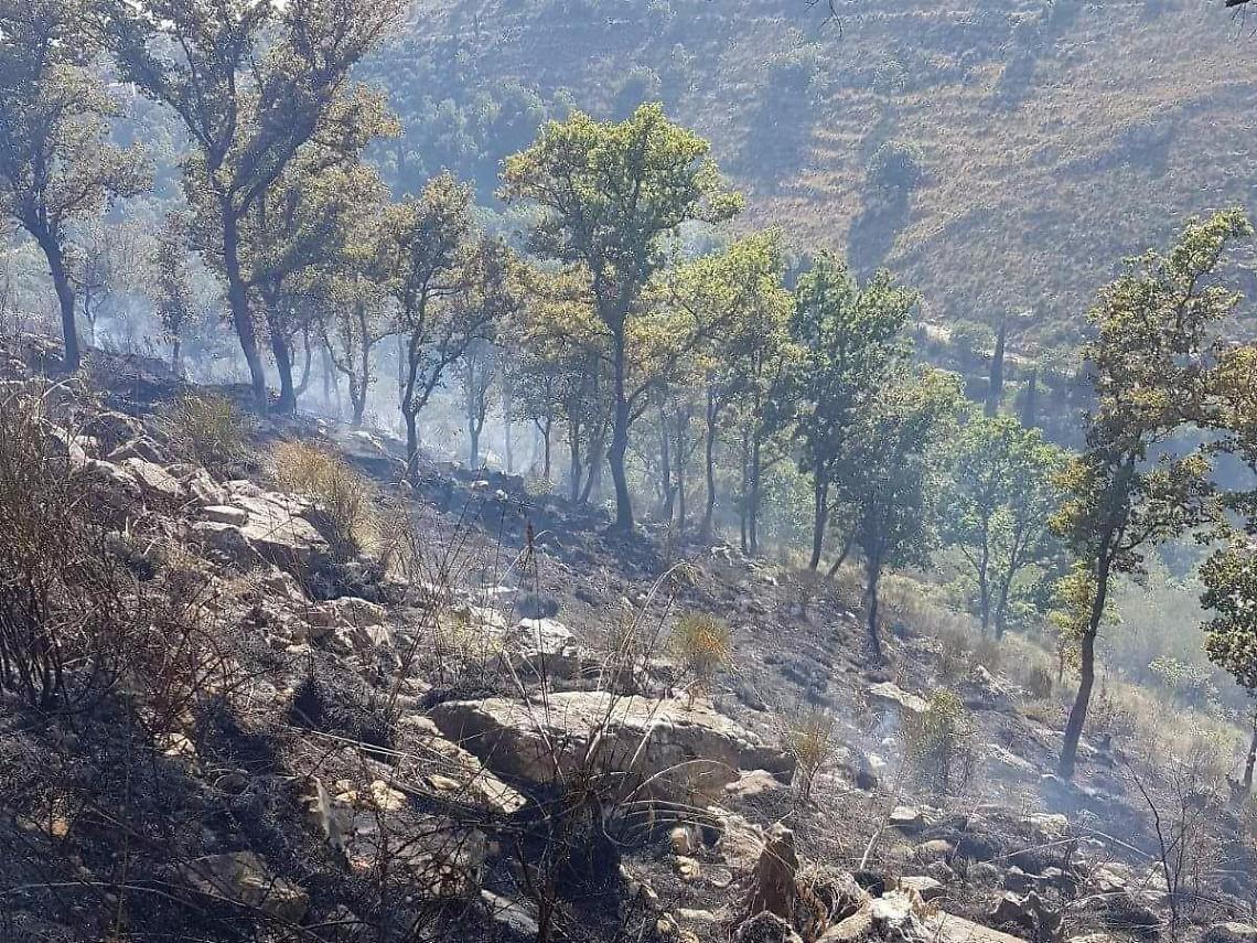 Incendi senza fine sulle montagne, il Comune mette una taglia da 5.000 euro sui piromani