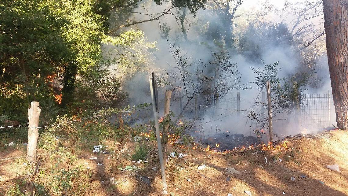 Incendio in periferia, fiamme nel bosco che costeggia la Provinciale Padiglione - Acciarella