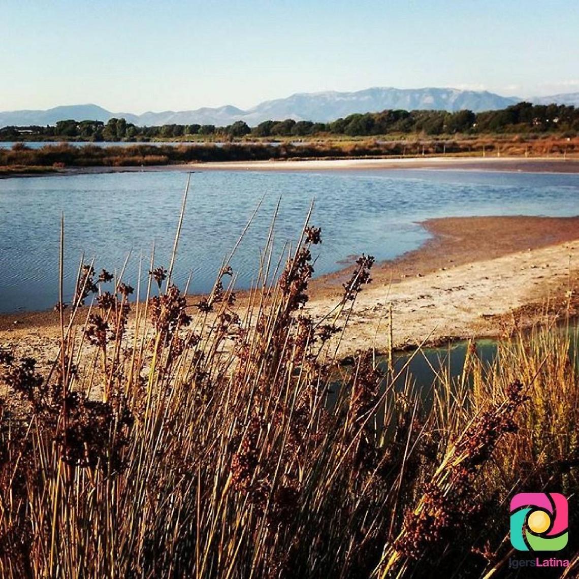 La Riserva Naturale Pantani dell'Inferno conquista il web: ecco il nuovo Iger of the Week