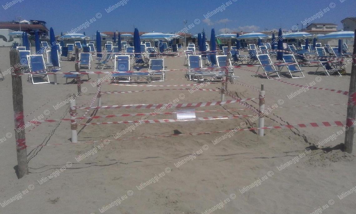 Grande attesa per la nascita delle tartarughe marine: nido presidiato 24 ore su 24