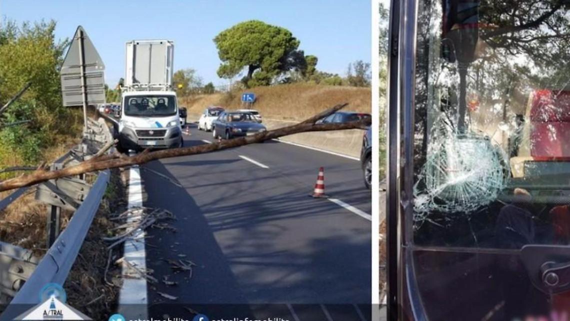 Cade un ramo sulla Pontina al chilometro 16+200, tanta paura in direzione di Latina