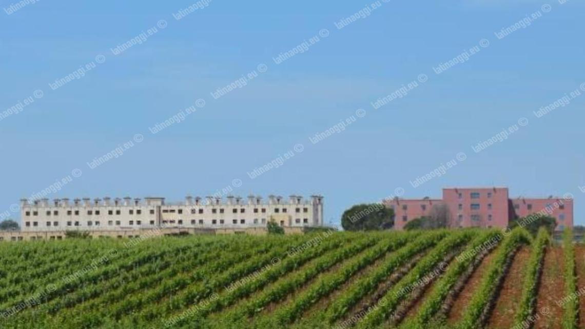 Giovane detenuto tenta il suicidio nel carcere, salvato dalla polizia penitenziaria