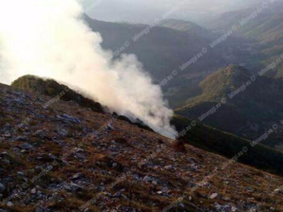 Wwf: incendi boschivi, ecco cosa possono fare i sindaci per tutelare il territorio
