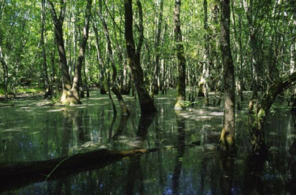 Escursioni gratuite nel Parco Nazionale del Circeo, come partecipare