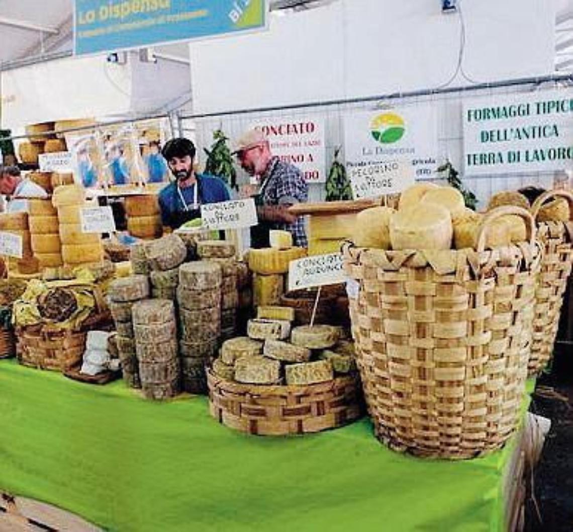 Formaggi pontini protagonisti di "Cheese", la rassegna sulle «forme del latte» dello Slow Food