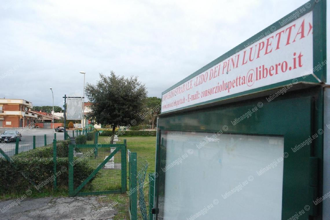 Lavori per l'illuminazione nel Consorzio di Lido dei Pini-Lupetta: la Regione chiede lumi al Comune