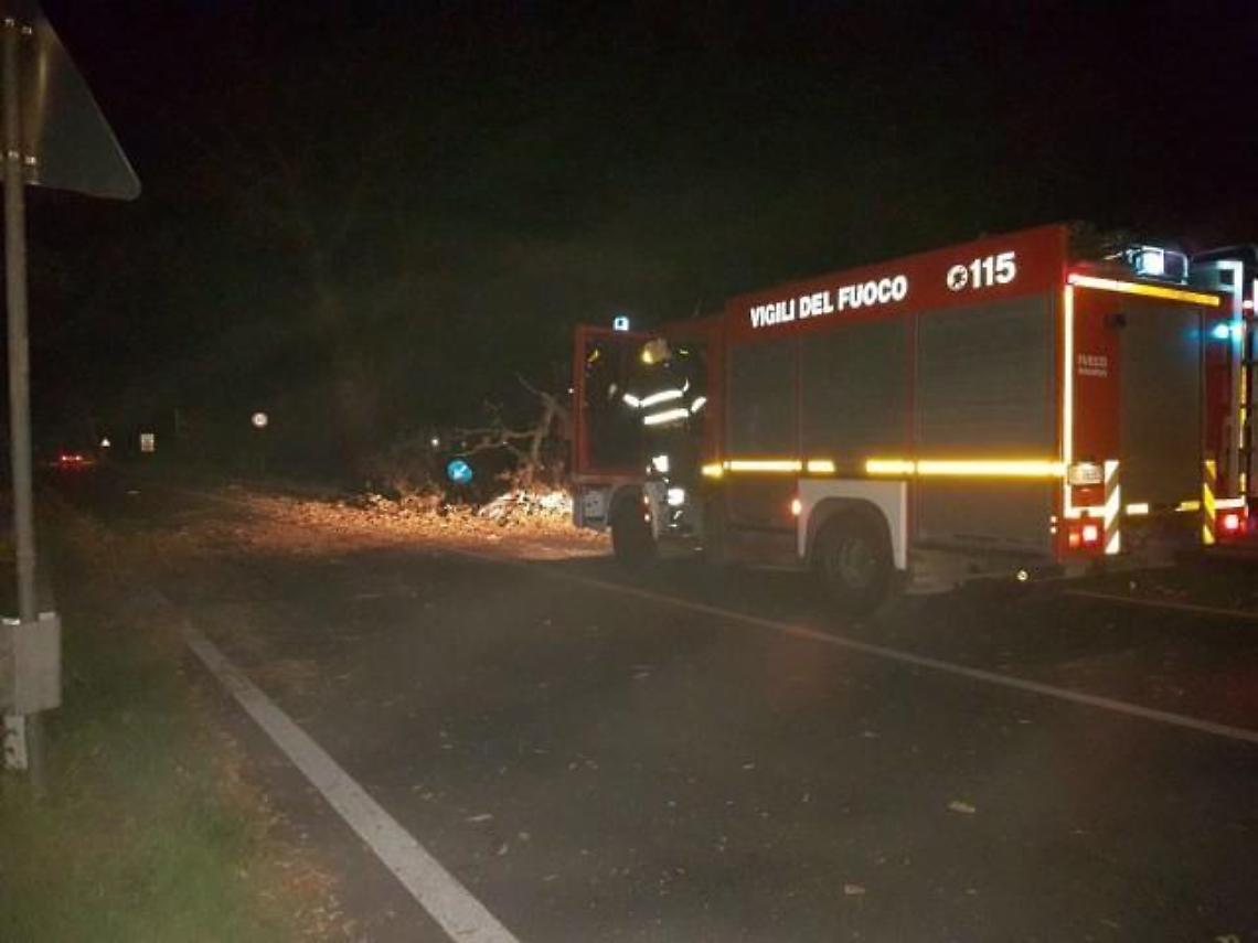 Raffiche di vento nella notte, cade un pino sull'Ardeatina