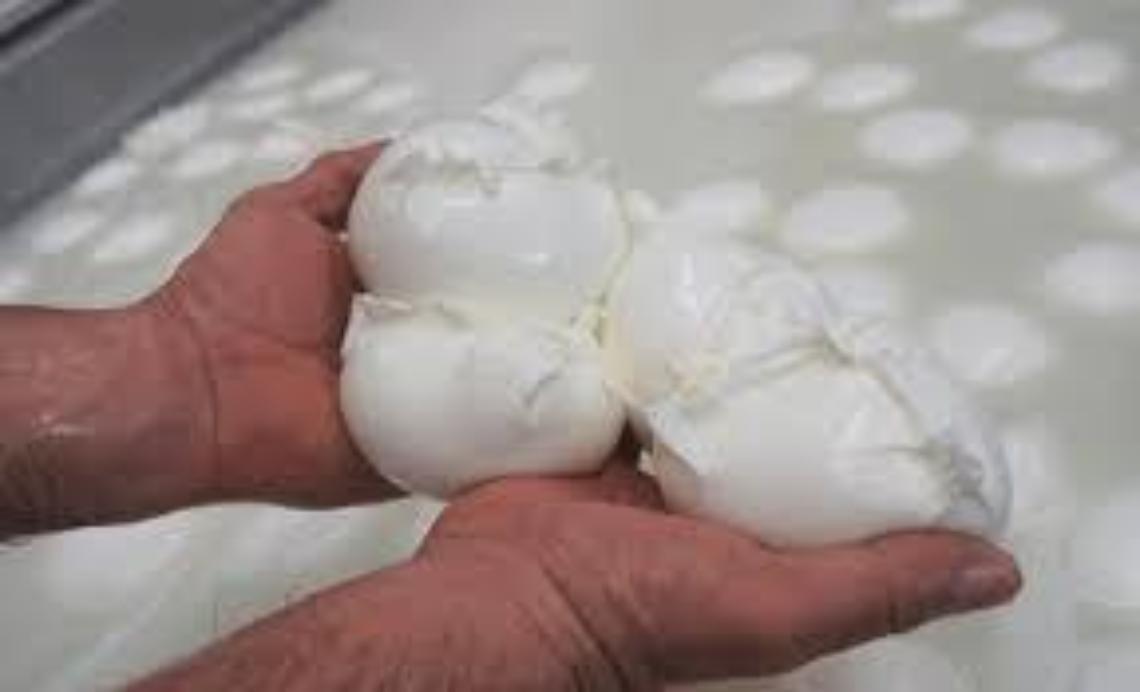 Agroalimentare, ora le firme per il settore senza diritti