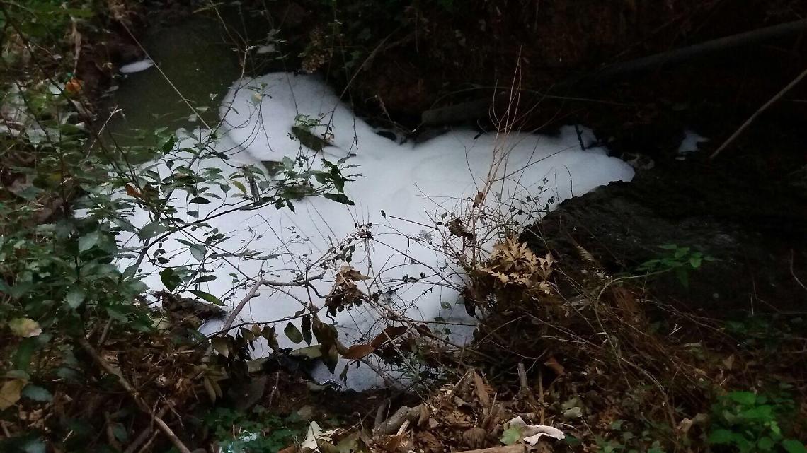 Schiuma nel Laghetto Granieri, emergenza e inquinamento nel bosco