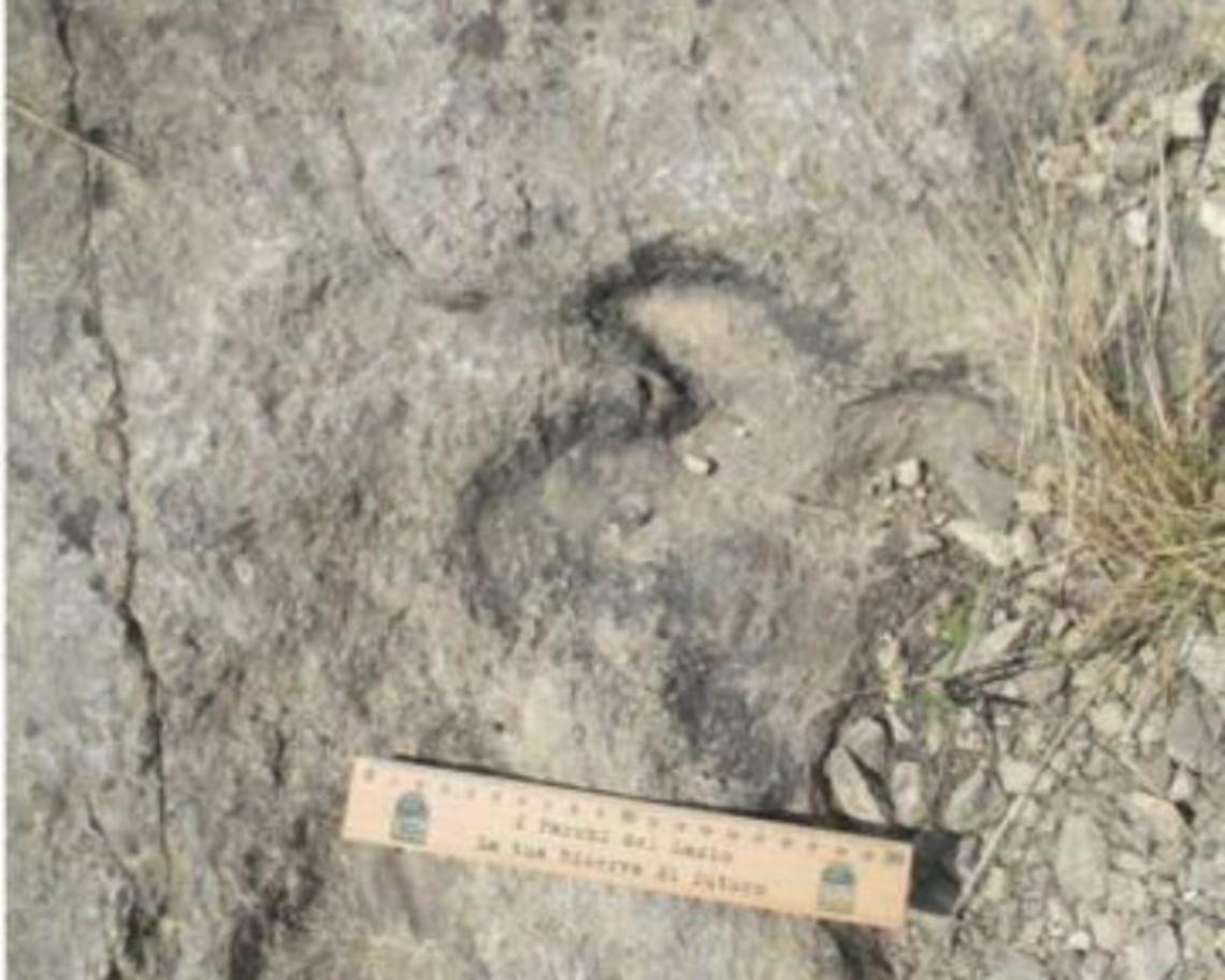 Un parco a tema per valorizzare le impronte dei dinosauri