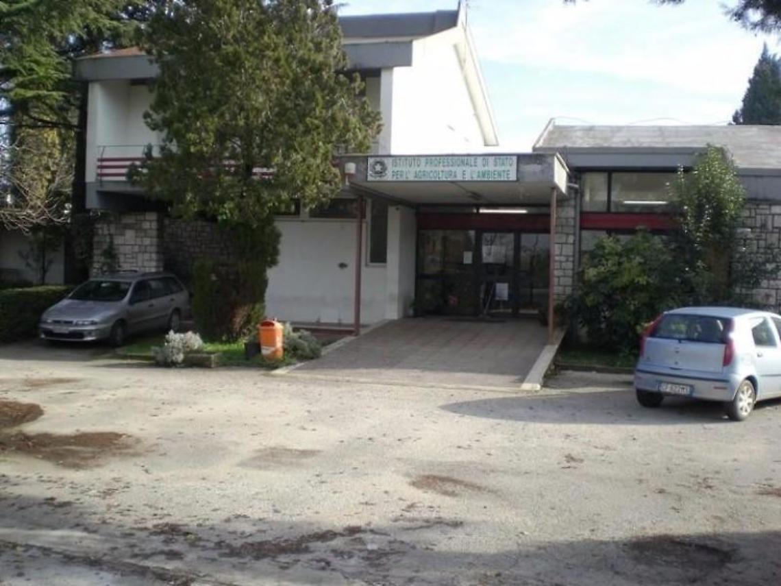 L'olio della legalit&agrave;, un progetto scolastico nei terreni confiscati