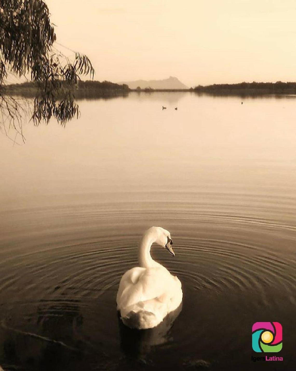 Iger of the Week, tutta la magia del lago di Fogliano in uno scatto