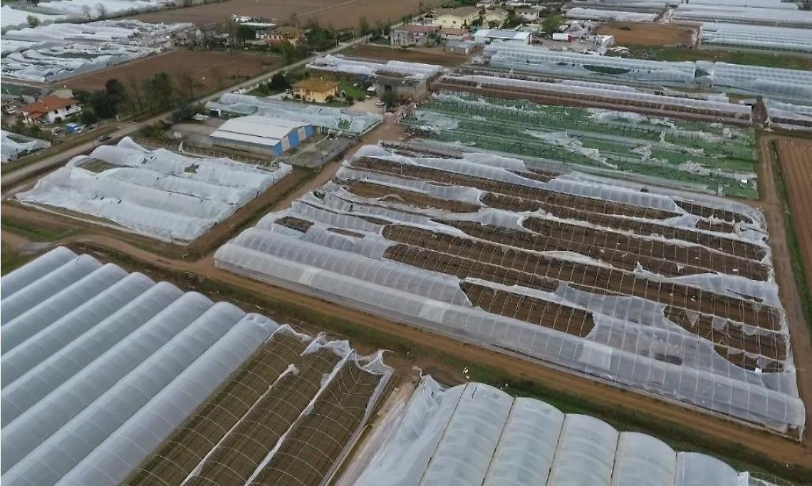 Terracina, tromba d'aria e danni: ispettori regionali tra serre e raccolti