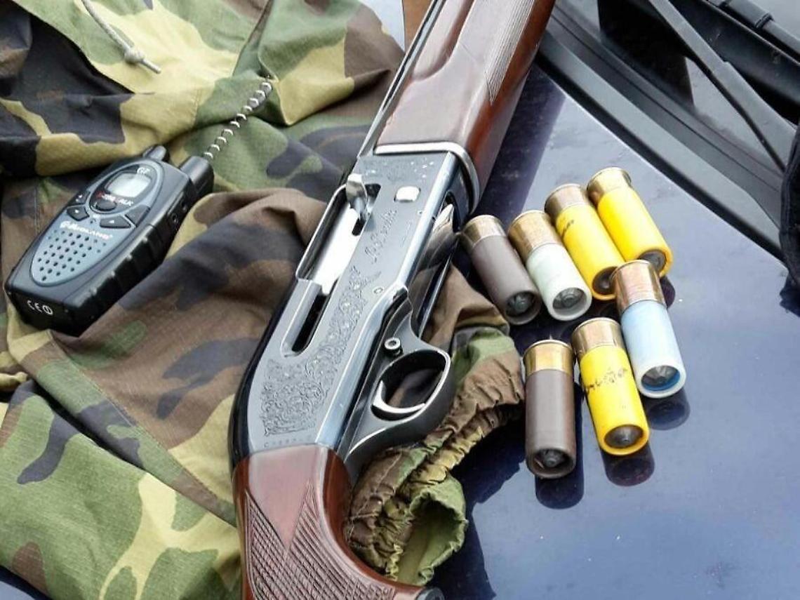 Caccia al cinghiale fuori stagione, blitz del Nipaf su Monte Leano