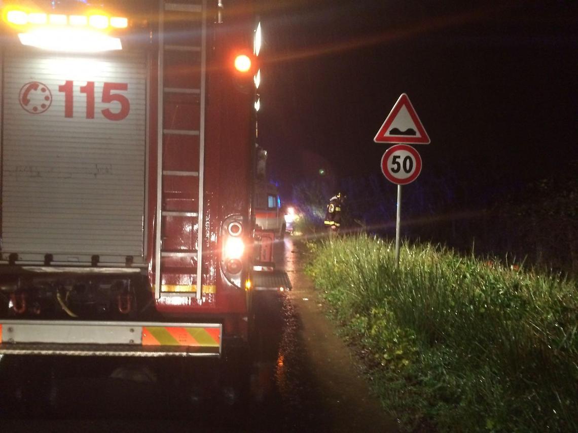 Cagnolino cade in una piscina, salvato dai vigili del fuoco