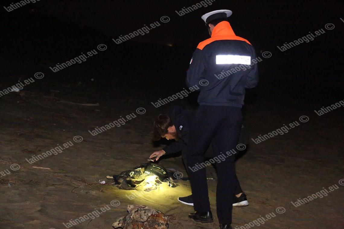 Scheletro sul lungomare, potrebbe trattarsi di un velista scomparso