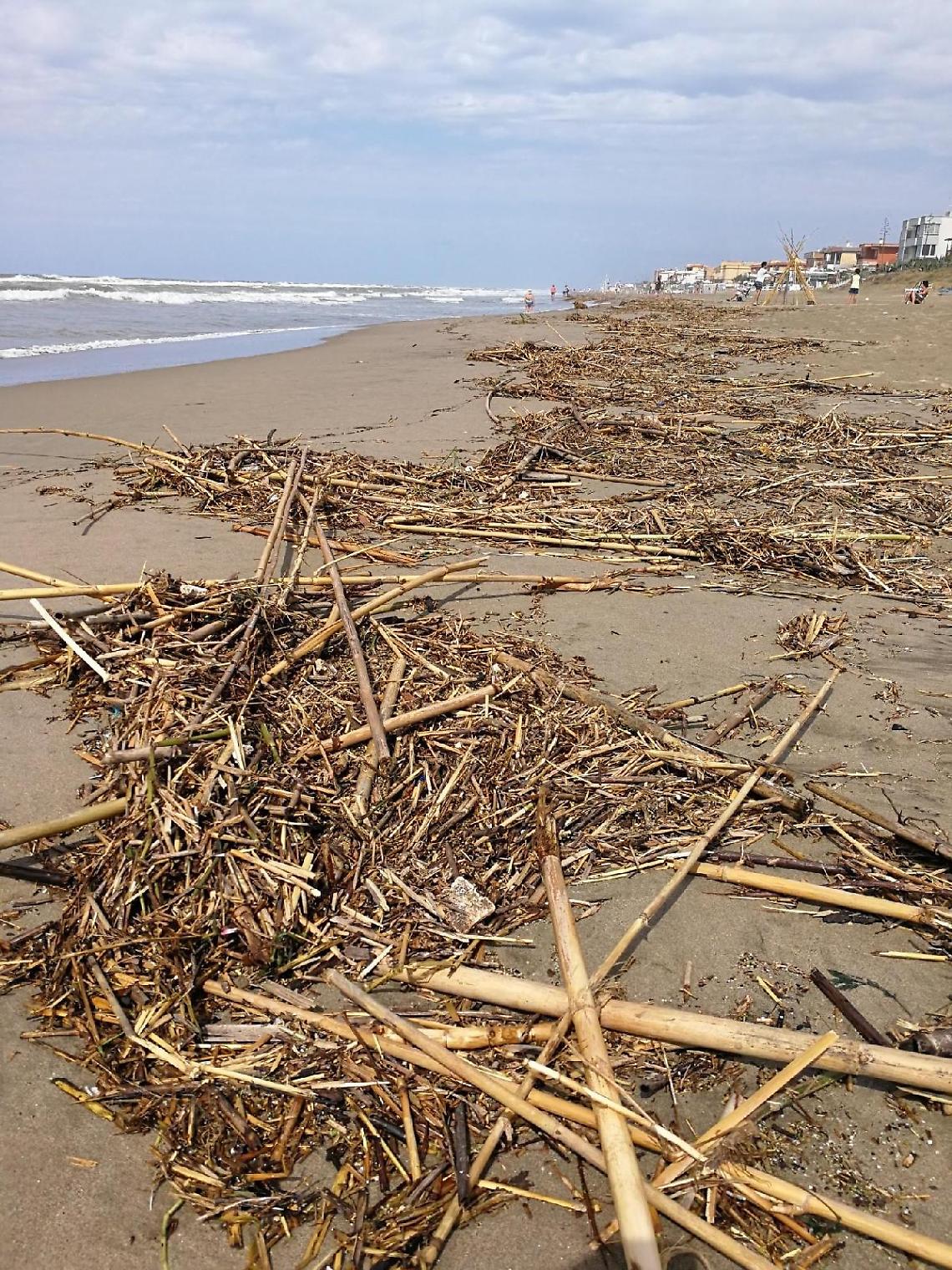 Terracina, Fare Verde pulisce la spiaggia con "Il mare d'inverno"