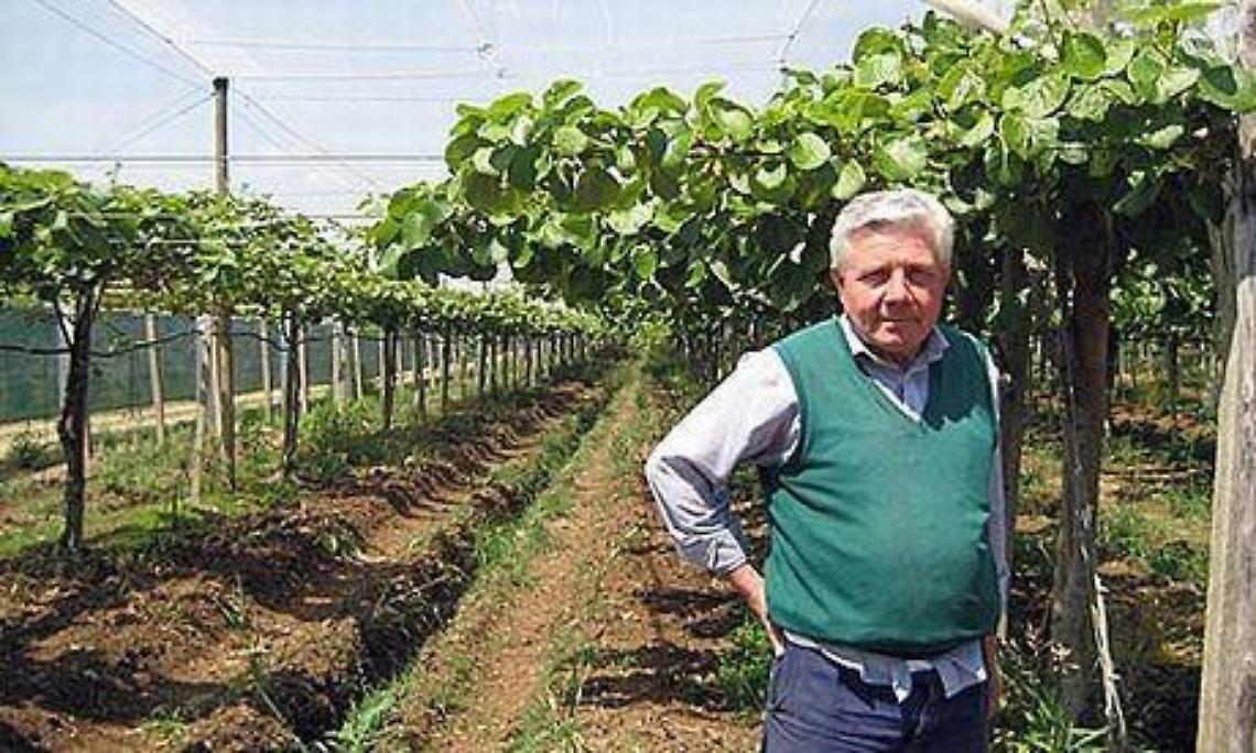 Campoli: "Danni all'agricoltura per calamità naturali, la legge va cambiata"