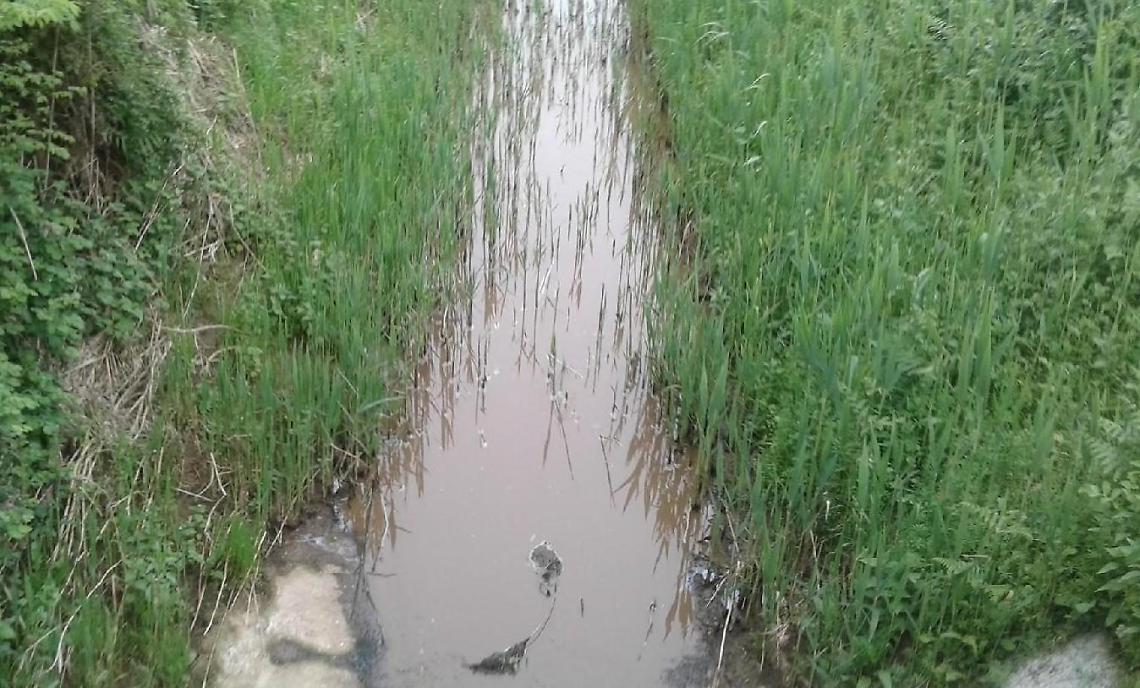 Liquami nel canale in via Valtellina, la denuncia del comitato di quartiere