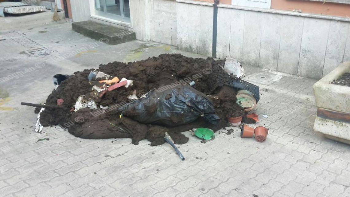 Scarica un metro cubo di letame davanti al Comune: denunciato