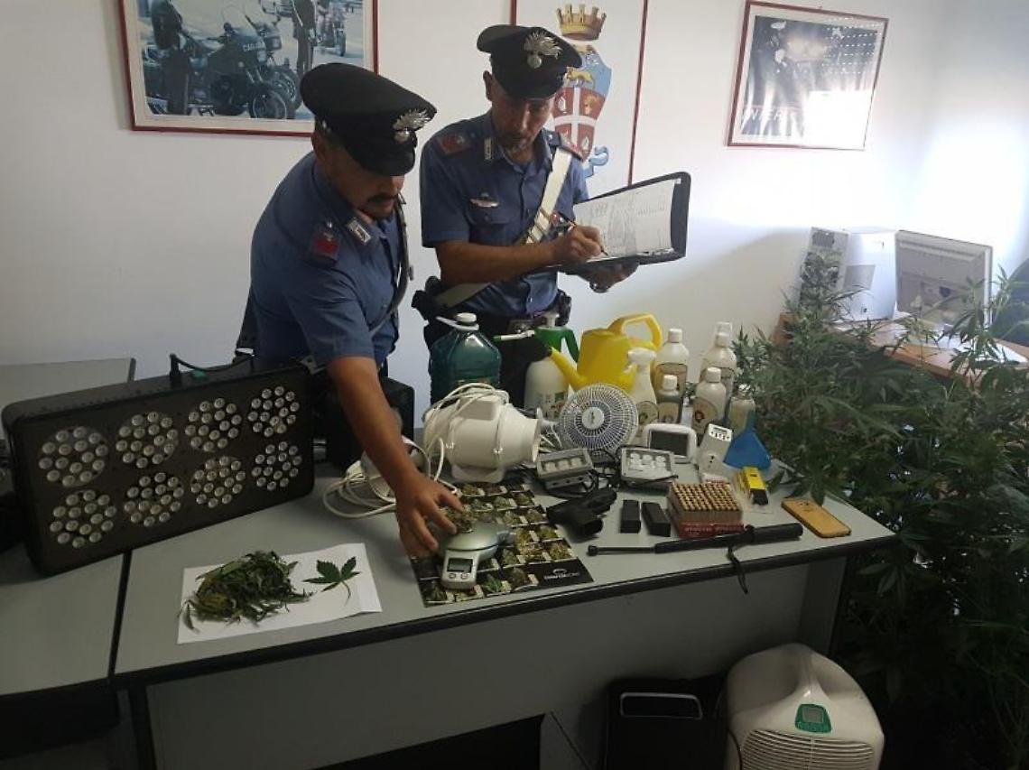 Una serra di marijuana dentro casa, coppia in arresto