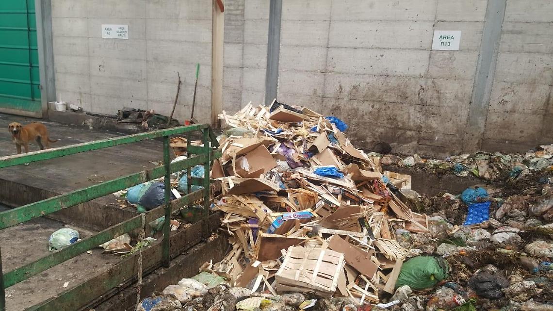 La Sep bacchetta i Comuni: serve una migliore differenziata
