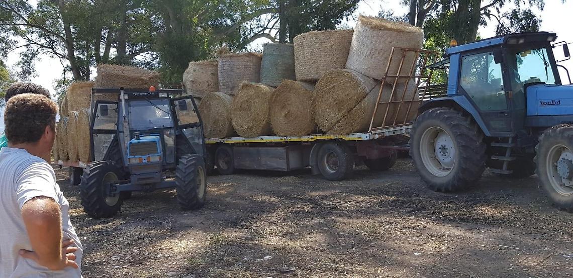Coldiretti balle fieno Terracina
