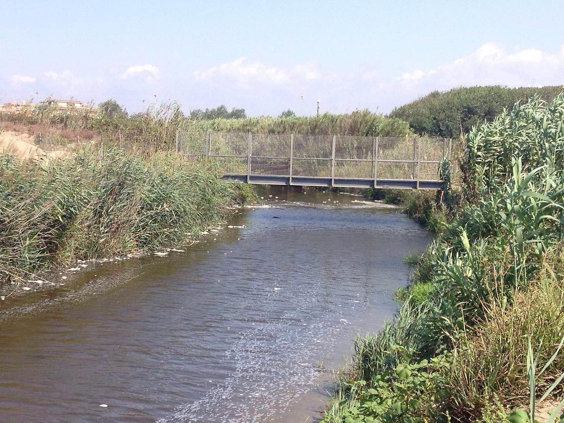 Ardea, inquinamento del Rio Torto: chiesta un'indagine