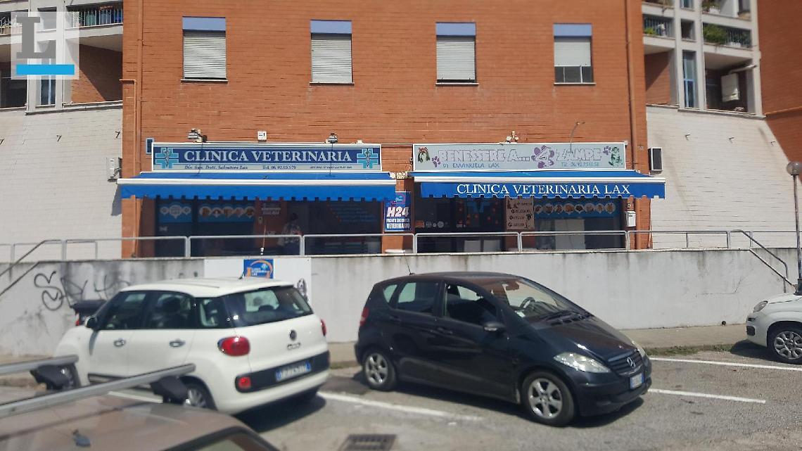 "E' entrato da noi dicendo: 'mi stanno sparando addosso', abbiamo avuto paura"