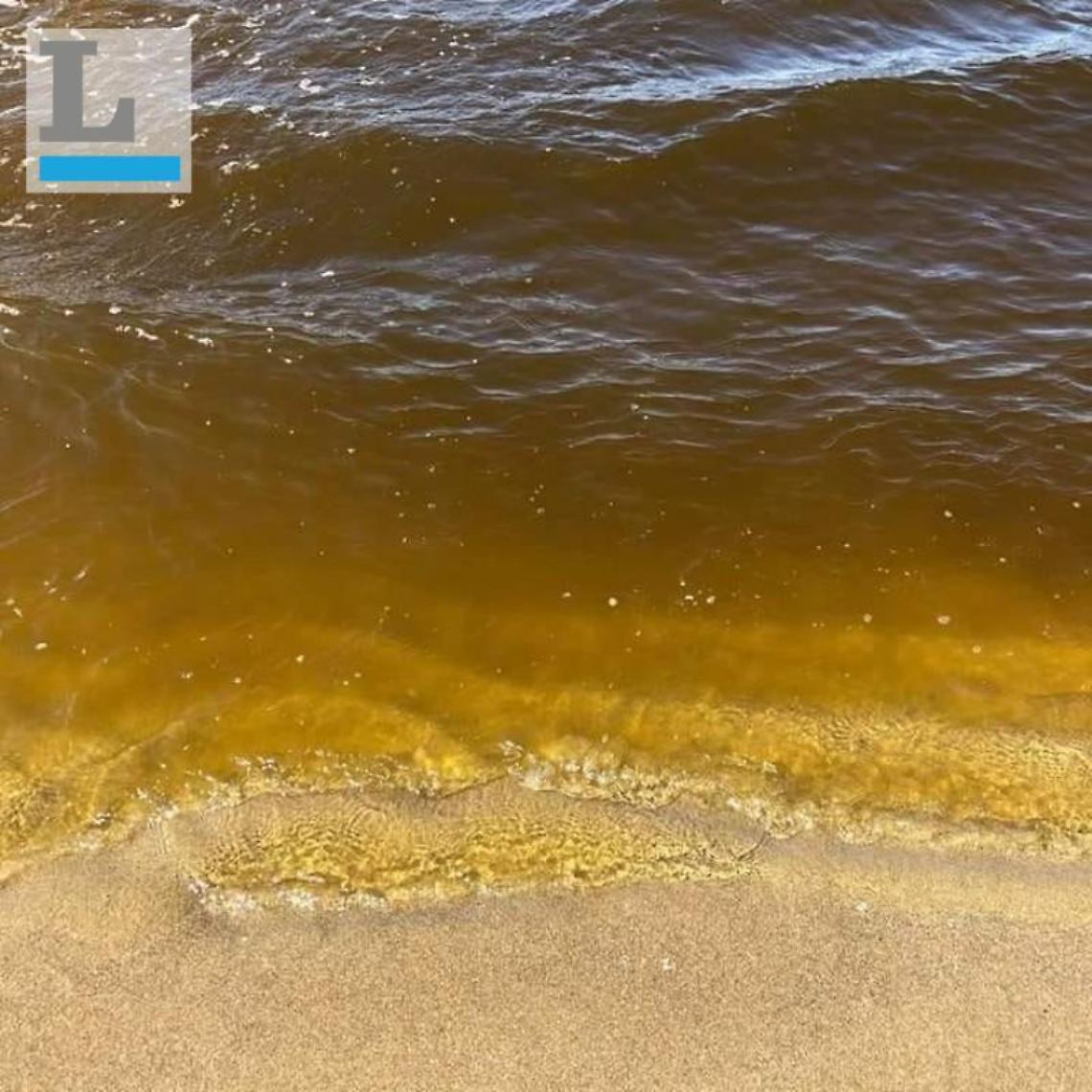 Liquami in mare: divieti di balneazione a Pomezia e Ardea