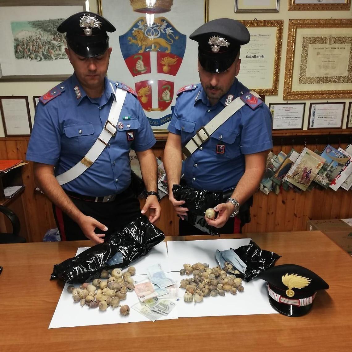 Trovato a Terracina con quasi mezzo chilo di papavero da oppio: arrestato