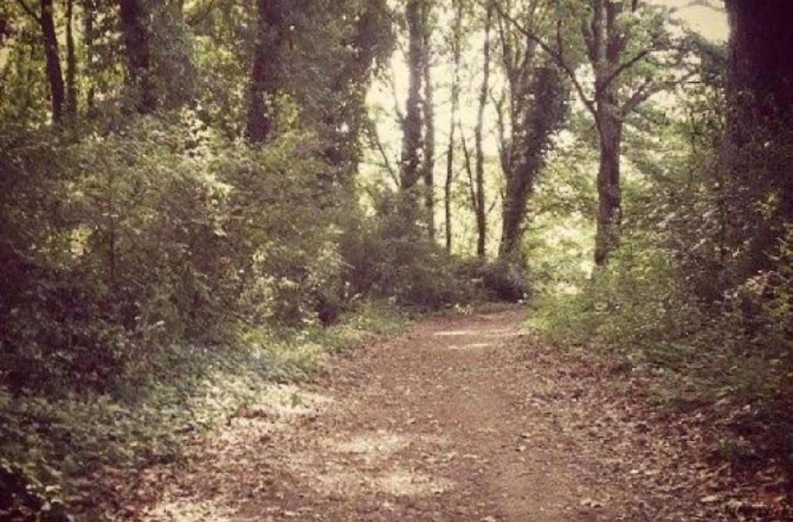 In gita da Ardea e Pomezia si perdono nei boschi di Velletri: salvati