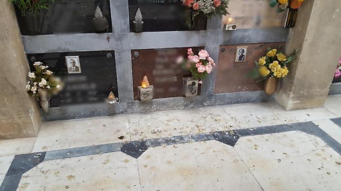 Cimitero invaso dai piccioni, la consigliera Celentano lancia l'allarme