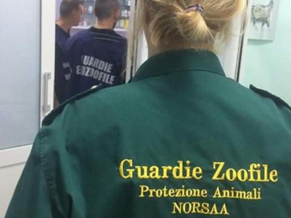 Priverno, ambiente e tutela degli animali: adesso ci pensa il Norsaa