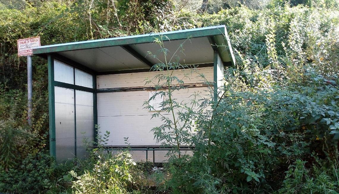 Maenza, problemi sulla Carpinetana: fermate del bus invase dalle erbacce