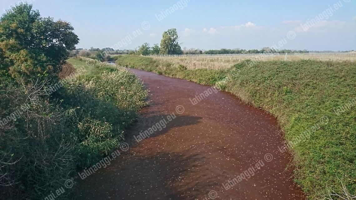 Il fiume si colora di rosso nuovo allarme per l'Astura
