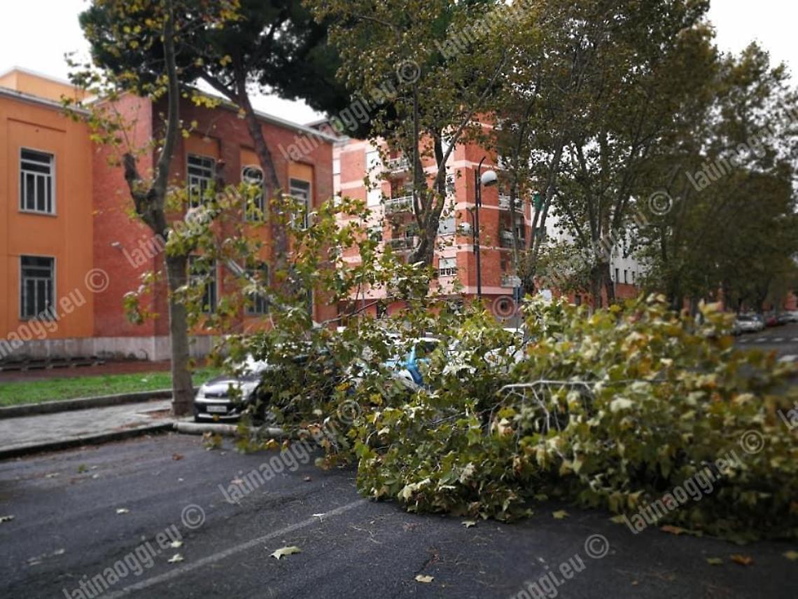 Maltempo e vento forte, il Comune di Latina: "Valutiamo chiusura scuole"