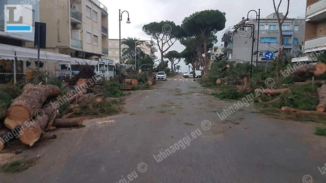 Terracina dopo il disastro: aperta un'indagine sul pino killer